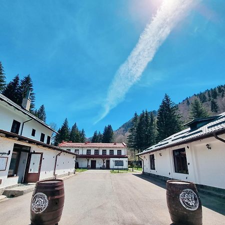Pensiunea Rhein Azuga Exteriér fotografie