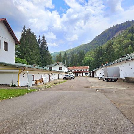Pensiunea Rhein Azuga Exteriér fotografie