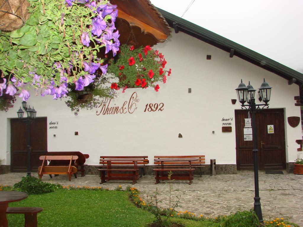 Hotel Pensiunea Rhein Azuga Exteriér fotografie