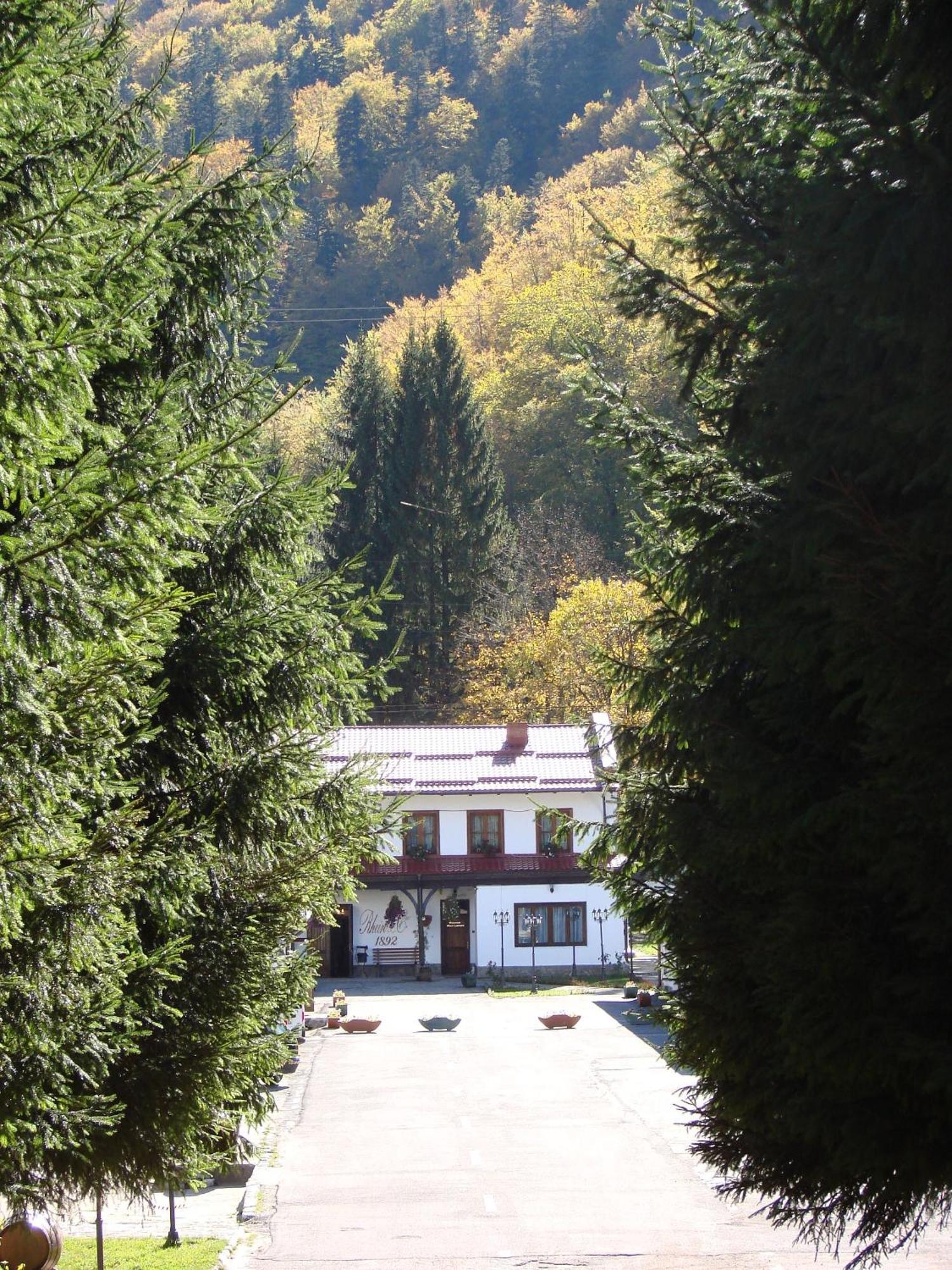 Pensiunea Rhein Azuga Exteriér fotografie