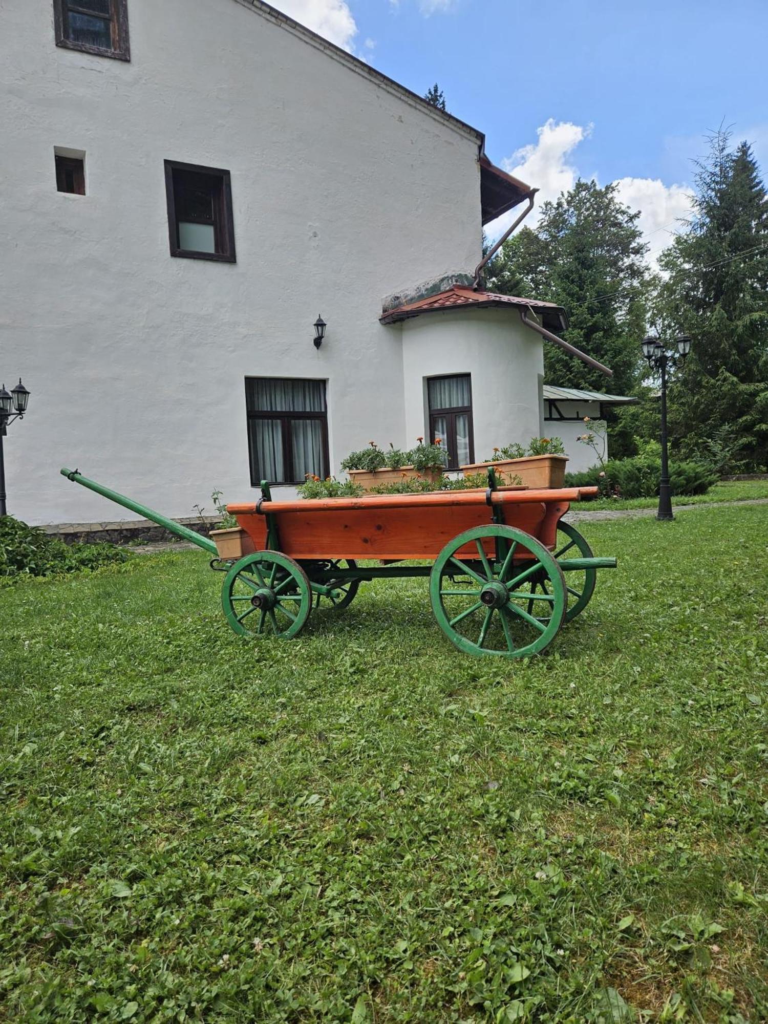 Pensiunea Rhein Azuga Exteriér fotografie